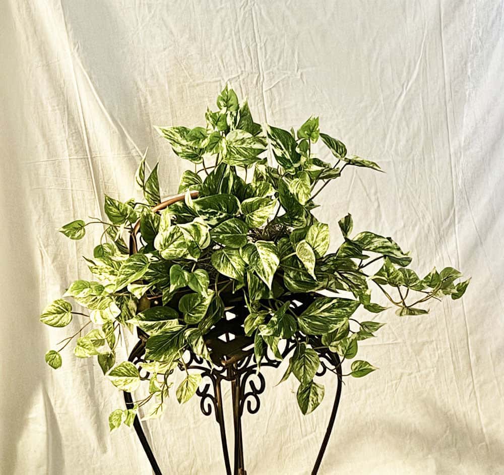 Artificial UV Protected Pothos Trailing Ivy in Copper Planter | Indoor/Outdoor Décor