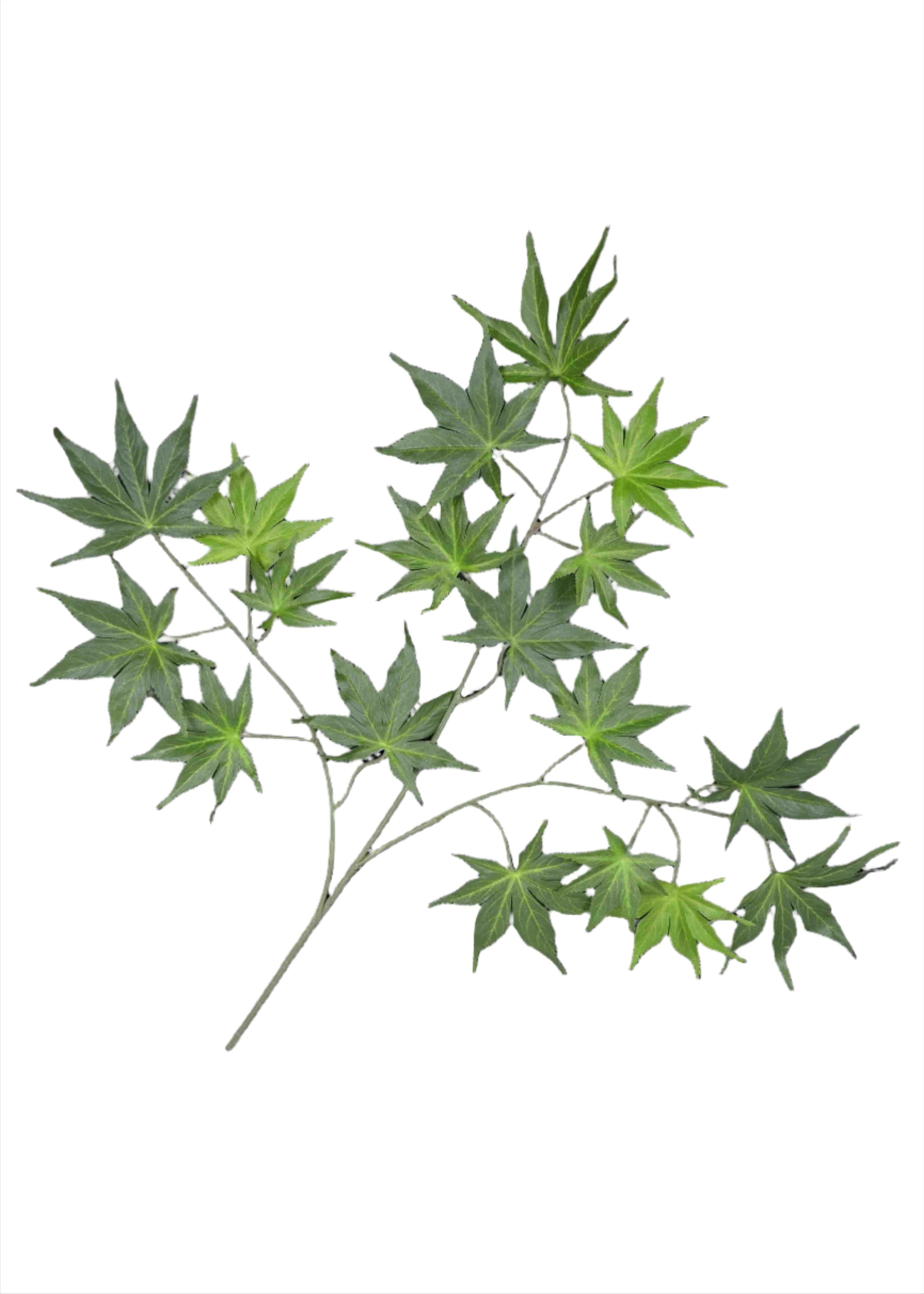 24" Artificial Silk Japanese Maple Branch for DIY (Set of 12)