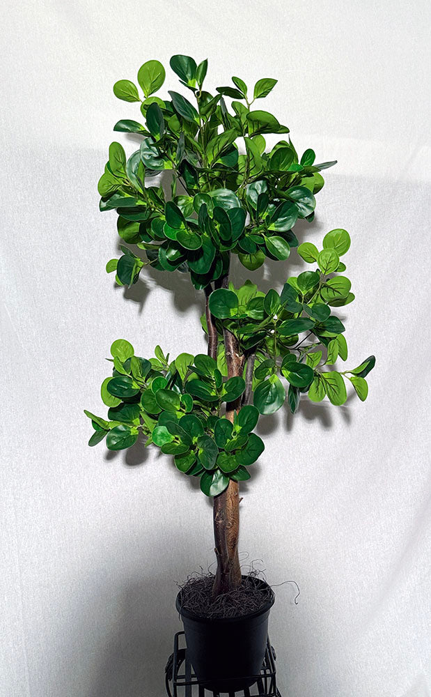 This realistic 45-inch peperomia topiary tree is pre-potted and ready to display. Shop now! Silk Plants Canada