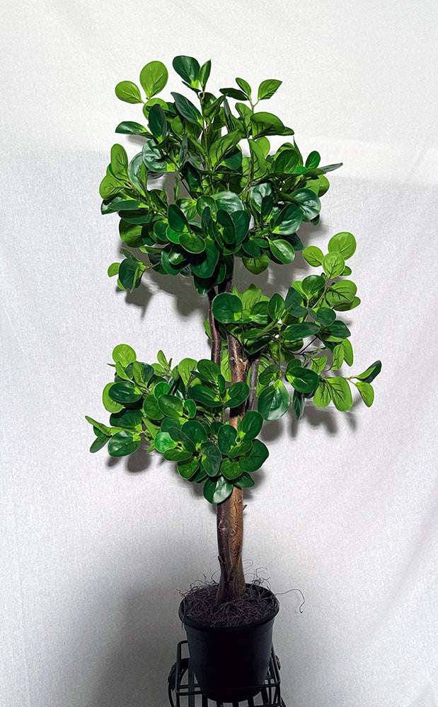 artificial peperomia tree for home decor