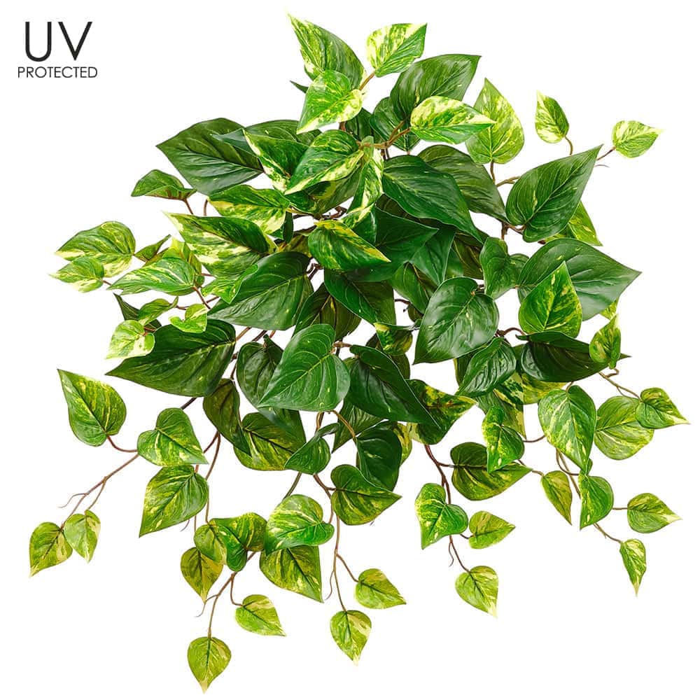 20" Artificial UV Protected Pothos Trailing Green White 24 Silk Plants Canada