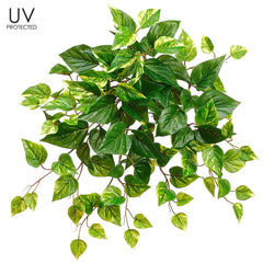 20" Artificial UV Protected Pothos Trailing Green White 24 Silk Plants Canada