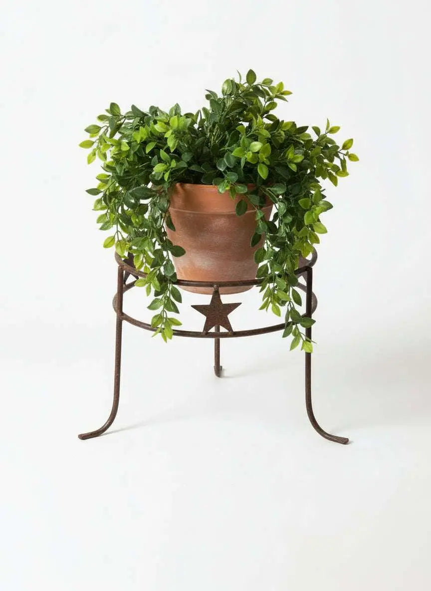 Large Metal 3 Star 2 Ring Plant Holder with a potted trailing plant