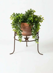 Large Metal 3 Star 2 Ring Plant Holder with a potted trailing plant