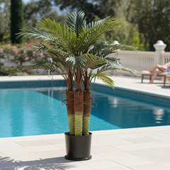 4' Artificial Phoenix Palm Tree - Indoor/Outdoor Decor Giving that Tropical Feel to an Outdoor Pool Silk Plants Canada