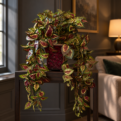 Trailing artificial silk coleus with burgundy, cream and green leaves in a burgundy metal planter in a moody living room