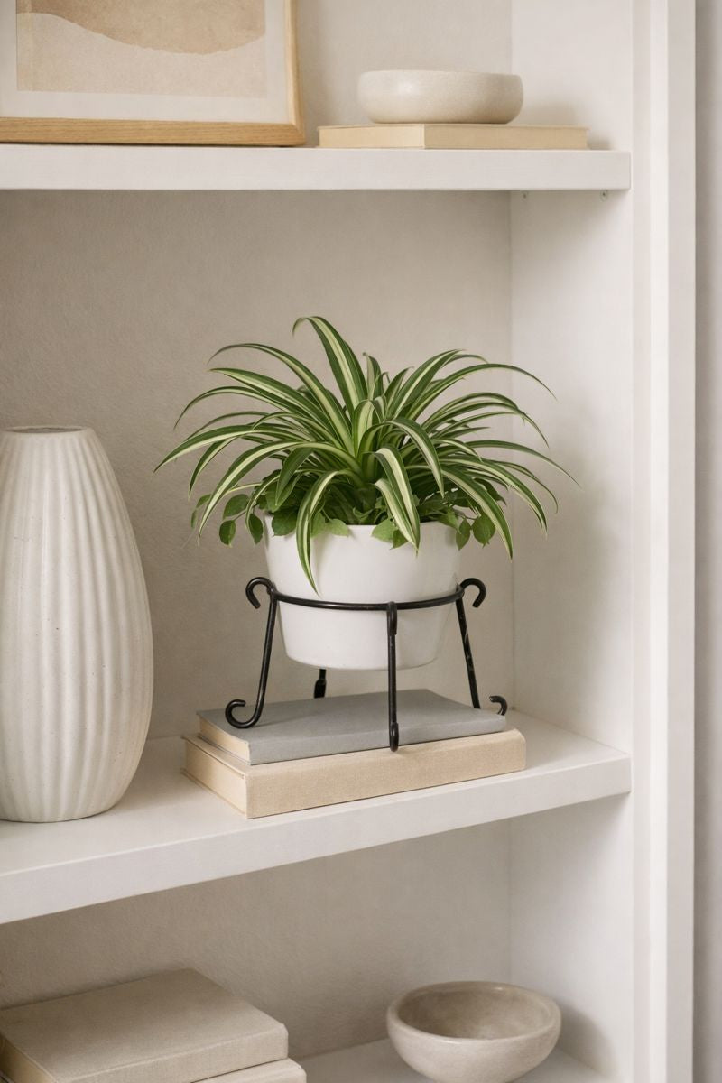 small circular metal plant stand with greenery displayed in bookshelf