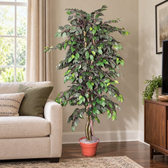 6 Foot Artificial Silk Ficus Bush Custom Made on Natural Wood in a comfortable residential media room beside a 34 inch high sofa, displayed in its included grower’s pot.