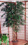 Artificial Trees-10 Foot Artificial Silk Camellia Tree Custom Made on Natural Wood 