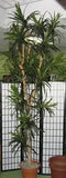 Artificial Trees-11 Foot Artificial Silk Dragon Tree Custom Made on Natural Wood-Silk Plants Canada