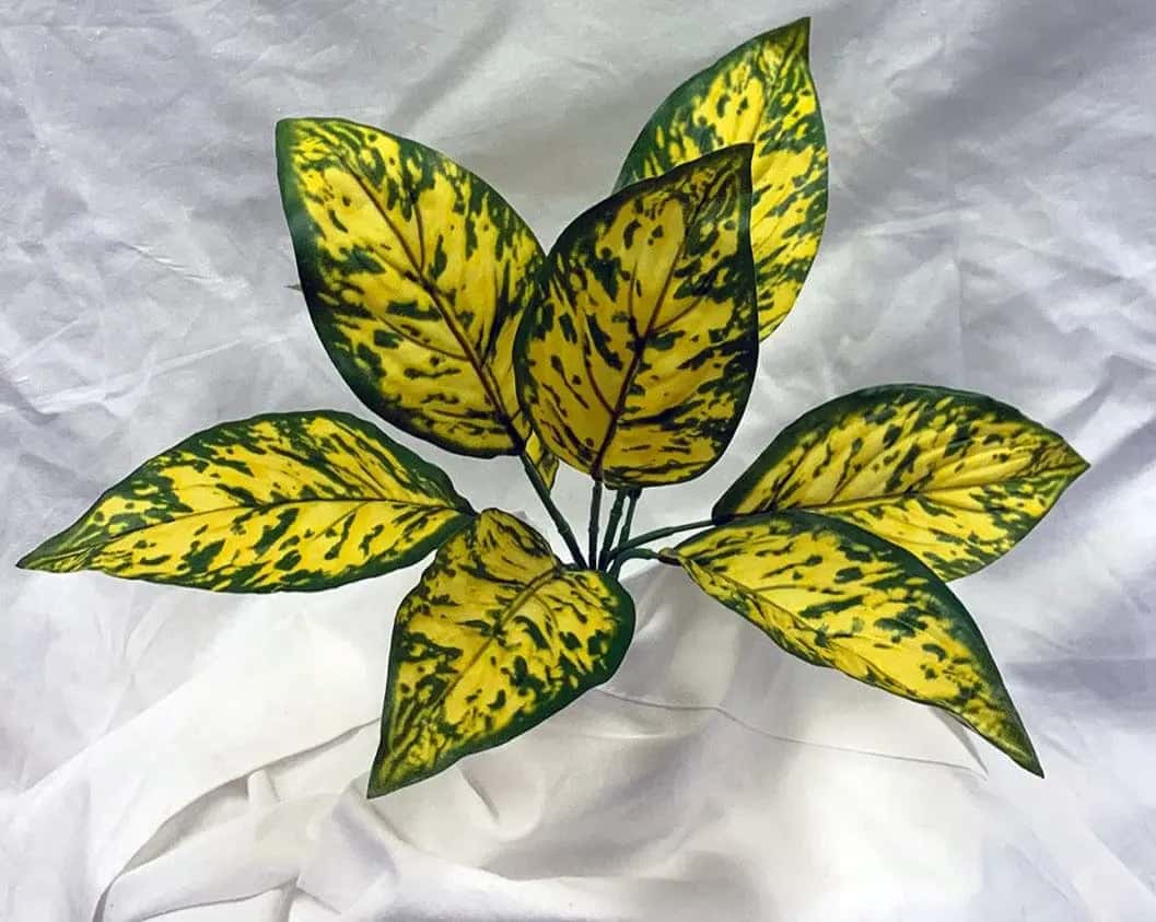 12 inch Artificial Golden Dieffenbachia Plant