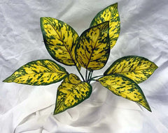 12 inch Artificial Golden Dieffenbachia Plant