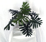 Artificial Flora-14 inch Artificial Silk Salloum Counter Top Plant | Silk Plants Canada-Silk Plants Canada