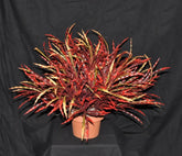 21 inch Artificial PVC Bird Nest Deluxe Grass for Indoor and Outdoor Silk Plants Canada