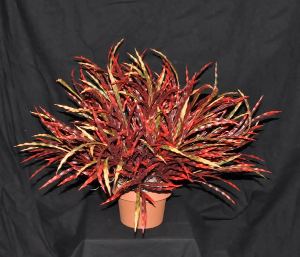 21 inch Artificial PVC Bird Nest Deluxe Grass Silk Plants Canada