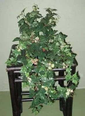 24 inch Artificial Silk Sage Trailing Ivy with Berries 24 Silk Plants Canada