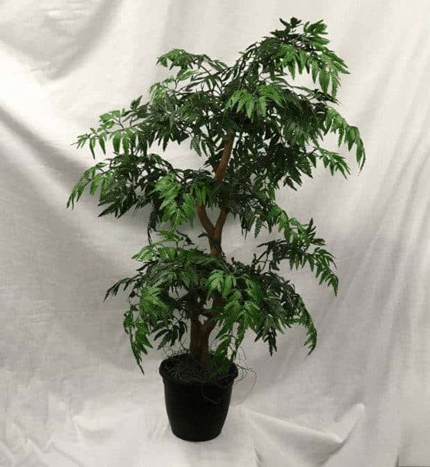 3 Foot Artificial Silk Ming Aralia Tree Custom Made on Natural Wood 149 Silk Plants Canada