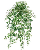 30 inch Artificial Silk Sage Mini Leaf Ivy Variegated