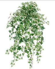 30 inch Artificial Silk Sage Mini Leaf Ivy Variegated Silk Plants Canada