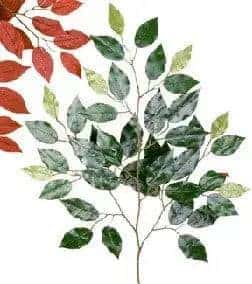 4 Foot Artificial Fig Topiary Made on Wood with Green Red Leaves Silk Plants Canada