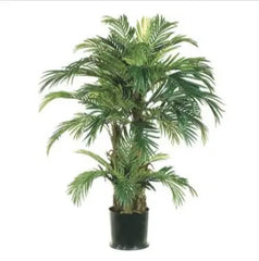 4ft artificial Phoenix palm tree in a black pot, suitable for indoor or outdoor use.