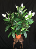 42 inch Artificial Silk Peace Lily Plant x 3ppp