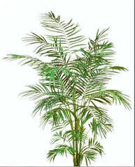 6 Foot Artificial Artificial Silk Areca Palm Tree for Home or Office