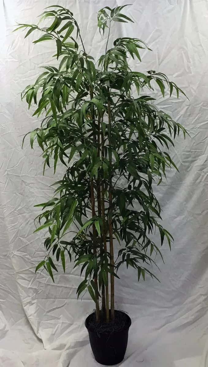 6 Foot Artificial Silk Bamboo Palm Tree on Natural Wood Silk Plants Canada