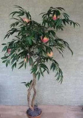 64 inch Artificial Silk Peach Tree with Peaches on Natural Wood