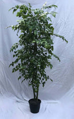 7 Foot Artificial Silk Birch Tree on Natural Wood Silk Plants Canada