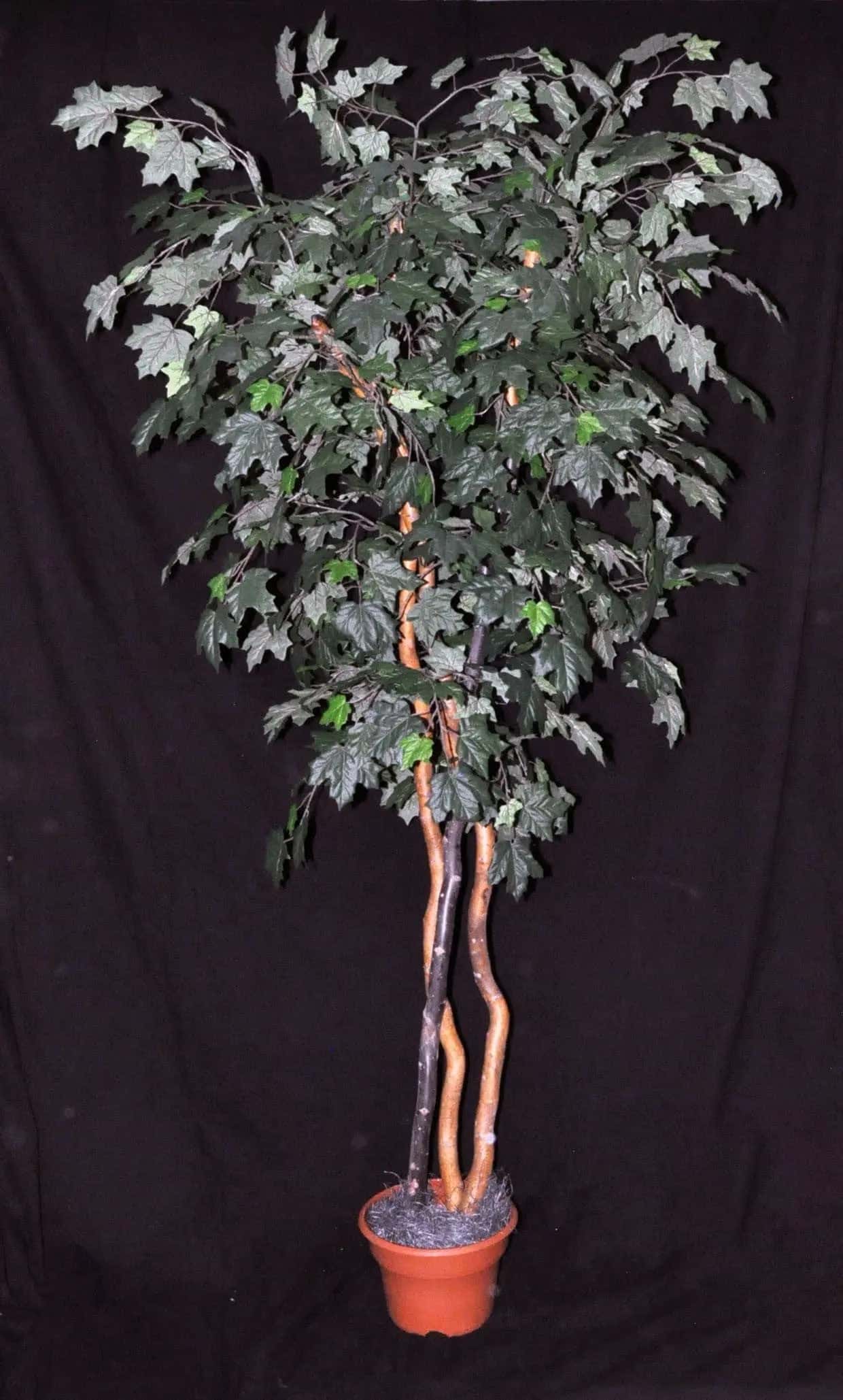 7 Foot Artificial Silk Canadian Maple Tree Custom Made on Natural Wood