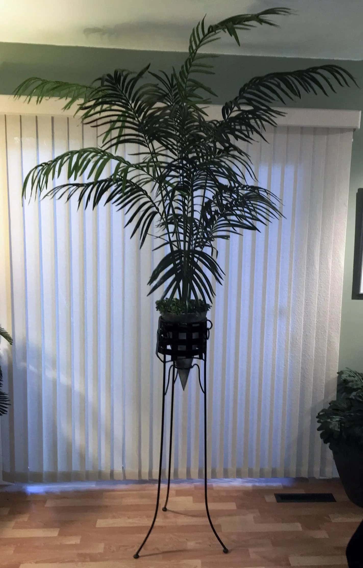 Tall artificial Areca palm tree in a black metal stand. Faux plant for indoor decor.
