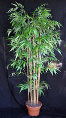 8 Foot Artificial Silk Bamboo Palm Tree on Natural Wood Silk Plants Canada