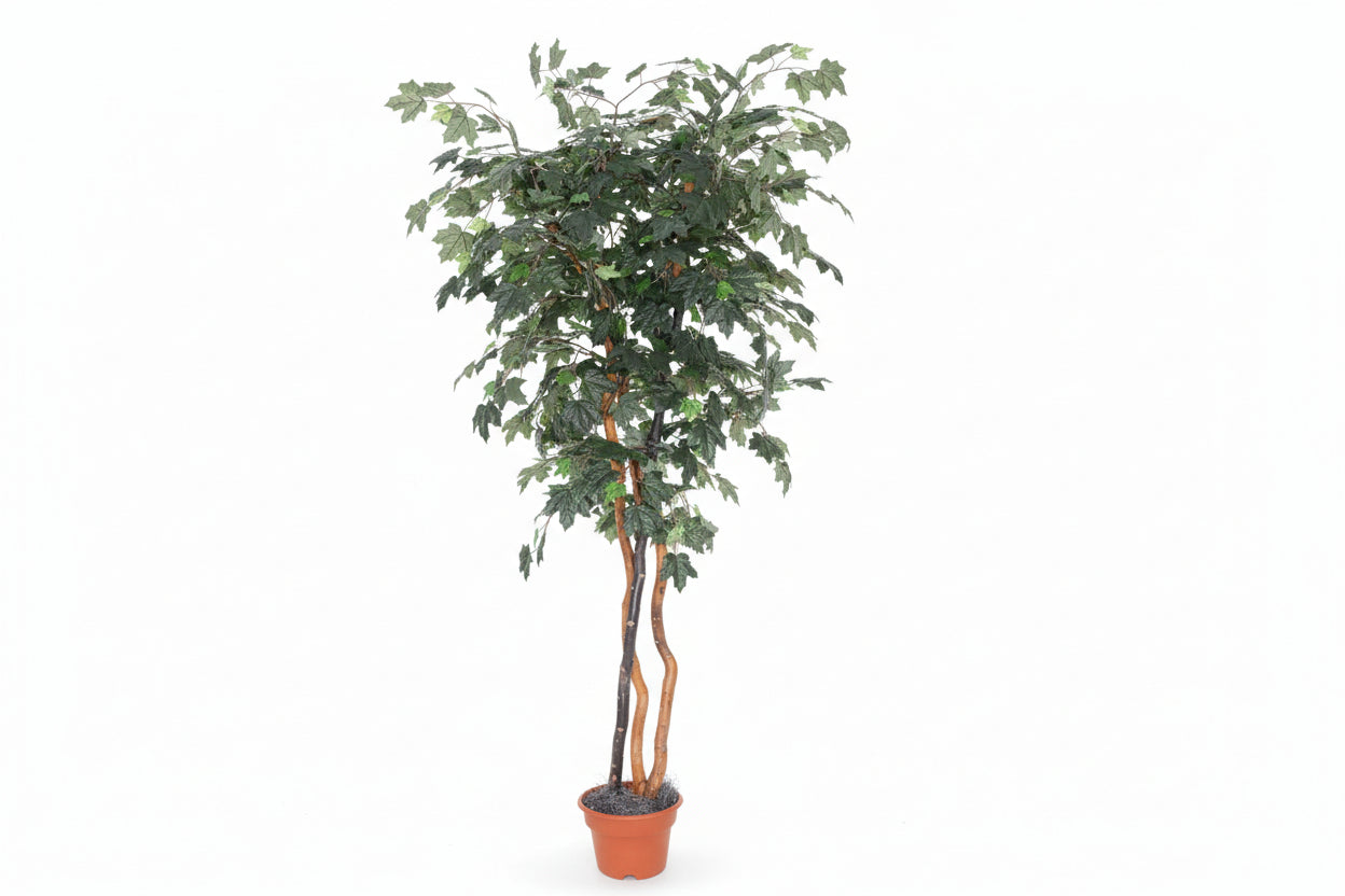 8 Foot Artificial Silk Canadian Maple Tree Custom Made on Natural Wood