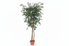 8 Foot Artificial Silk Canadian Maple Tree Custom Made on Natural Wood