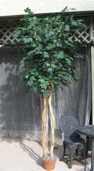 9 Foot Artificial Silk Canadian Maple Tree Custom Made on Natural Wood