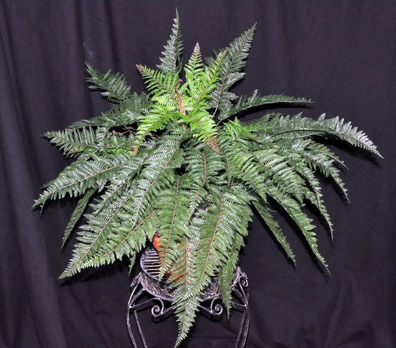 Artificial PVC Mountain Fern PVC Silk Plants Canada