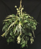 Artificial Silk Assorted Deluxe Ivies in Hanging Basket Silk Plants Canada