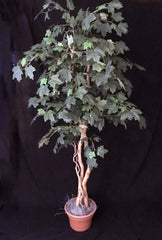 Artificial Silk Canadian Maple Tree on Natural Wood