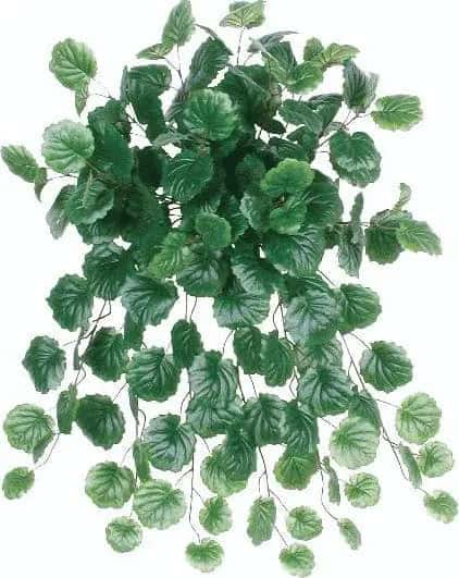 Artificial Silk Creeping Charlie Bush Vine Silk Plants Canada