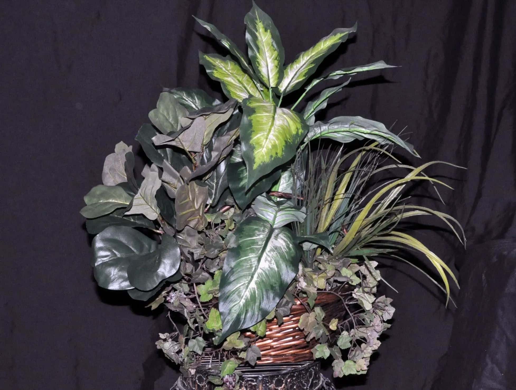 Artificial Silk Dieffenbachia Fiddle Leaf Fig Silk Plants Canada