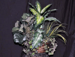 Artificial Silk Dieffenbachia Fiddle Leaf Fig Silk Plants Canada