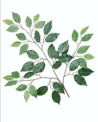 Artificial Silk Ficus or Fig Branch Green for DIY Projects (Set of 12)