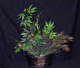 Artificial Silk Maple Leaf Thistle Basket Arrangement