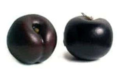 Artificial Decorative Plum Fruit Black Burgundy