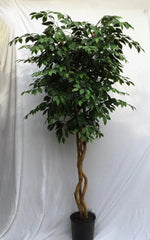 8 Foot Artificial Silk Birch Tree Custom Made on Natural Wood for Home or Office