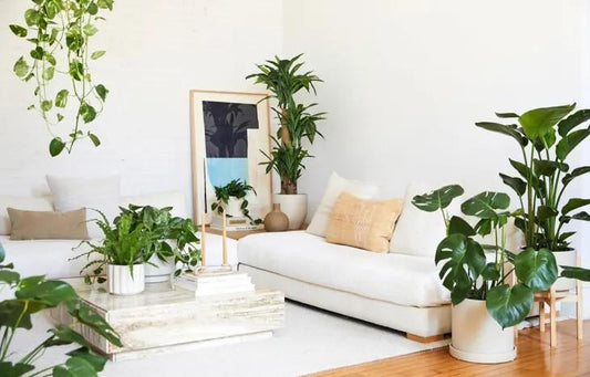 Common Mistakes to Avoid When Decorating with Artificial Plants