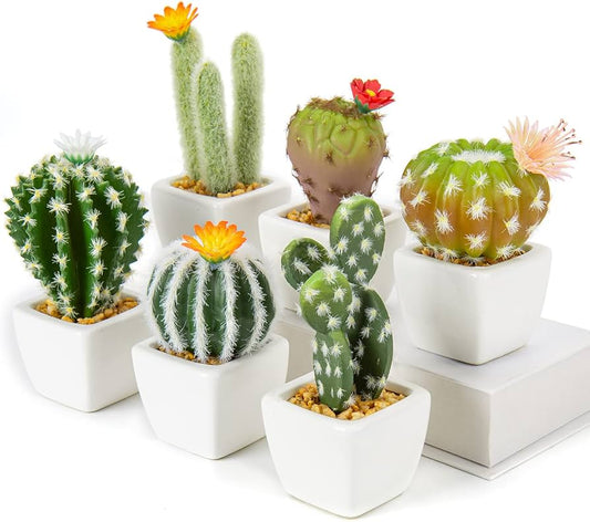 Artificial vs. Real Cactus: Which Is Better for Your Space?