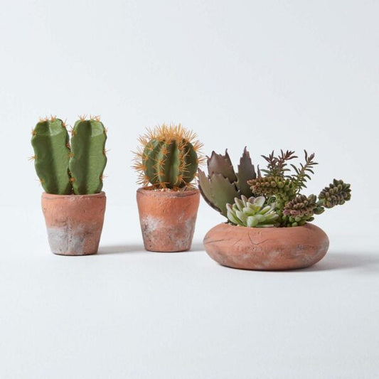 How to Use Artificial Cactus Decor to Create a Stunning Desert-Inspired Space
