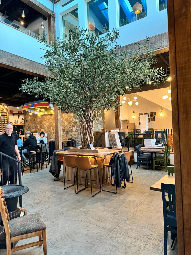 The Symbolic Significance of an Olive Tree for a Greek Restaurant